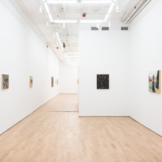 Hydeon, Eagertalis, exhibition view. Courtesy of Nicelle Beauchene Gallery