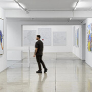 Àkùko, Eiyéle e Ekodidé – Uma revoada de Alberto Pitta, vista da exposição. Cortesia da Galeria Nara Roesler