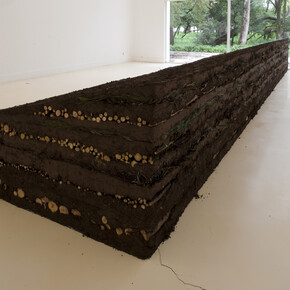Gabriela Albergaria, Couche Sourde, 2014, soil, tree leaves and branches, Variable dimensions. Photo courtesy of the artist