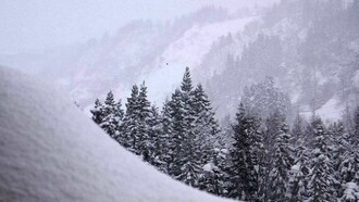 Snow covers practically everything in Yuzawa