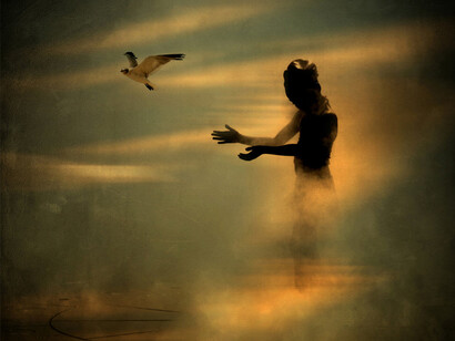Freedom