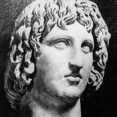 A una bella pastora, sus amores,      
bajo el frondoso sauce ha declarado,     
y presa de la angustia se lamenta     
al ser por su pastora rechazado     