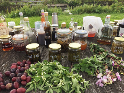 In Canadian cities, young farmers are as rare as wild foods harvesters