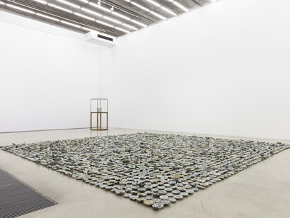 Installation view of Tiger, Tiger, Tiger