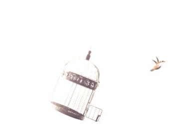 Libre