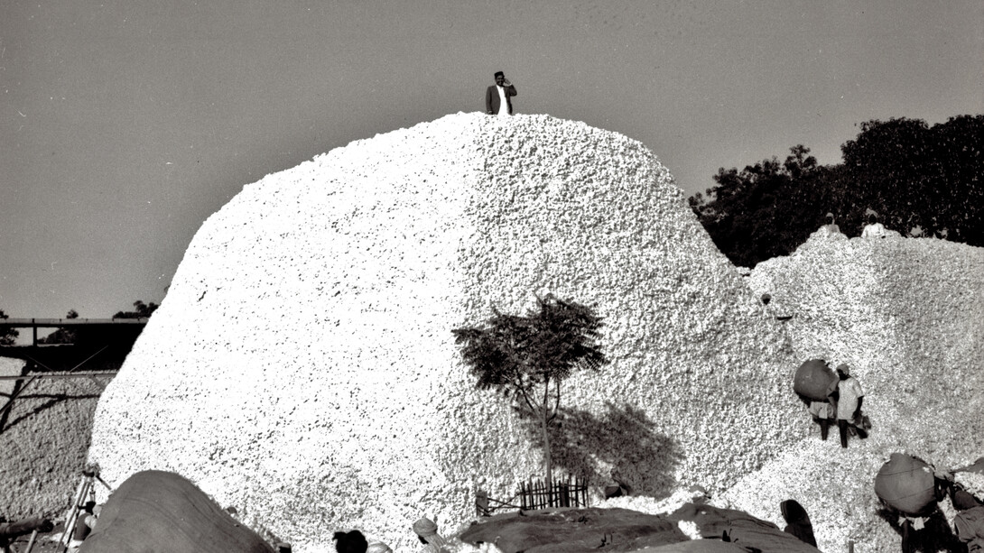 Montagna di cotone a Khamgaon, India centrale, 1948 ca.
Il cotone viene conservato nell’India centrale, quindi trasportato sulla costa, trasferito via mare e lavorato in Europa. L’azienda Volkart commercia in cotone indiano, ma dagli anni Trenta subisce grandi perdite, a causa della crisi economica mondiale e del movimento indipendentista indiano.

Copyright: Ernst Würgler, ex tecnico operativo presso l’azienda Volkart. Su cortesia di Madeleine Gerber-Würgler, Winterthur.