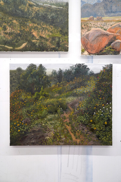 Andrew Durgin-Barnes, Lizardscapes, exhibition view. Courtesy of Good Mother Gallery