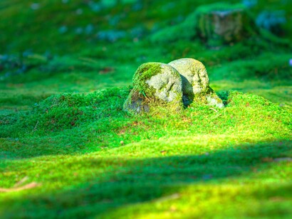 Los niños de agua: la leyenda de los «mizuko»