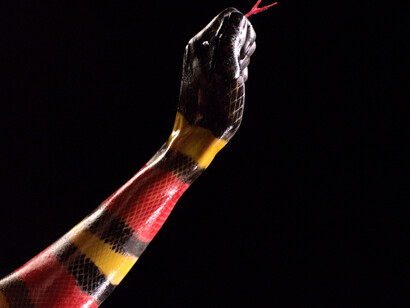 Moving Image Department. Courtesy of National Gallery