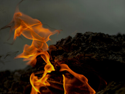 The appeal to the UN comes in the aftermath of devastating forest fires