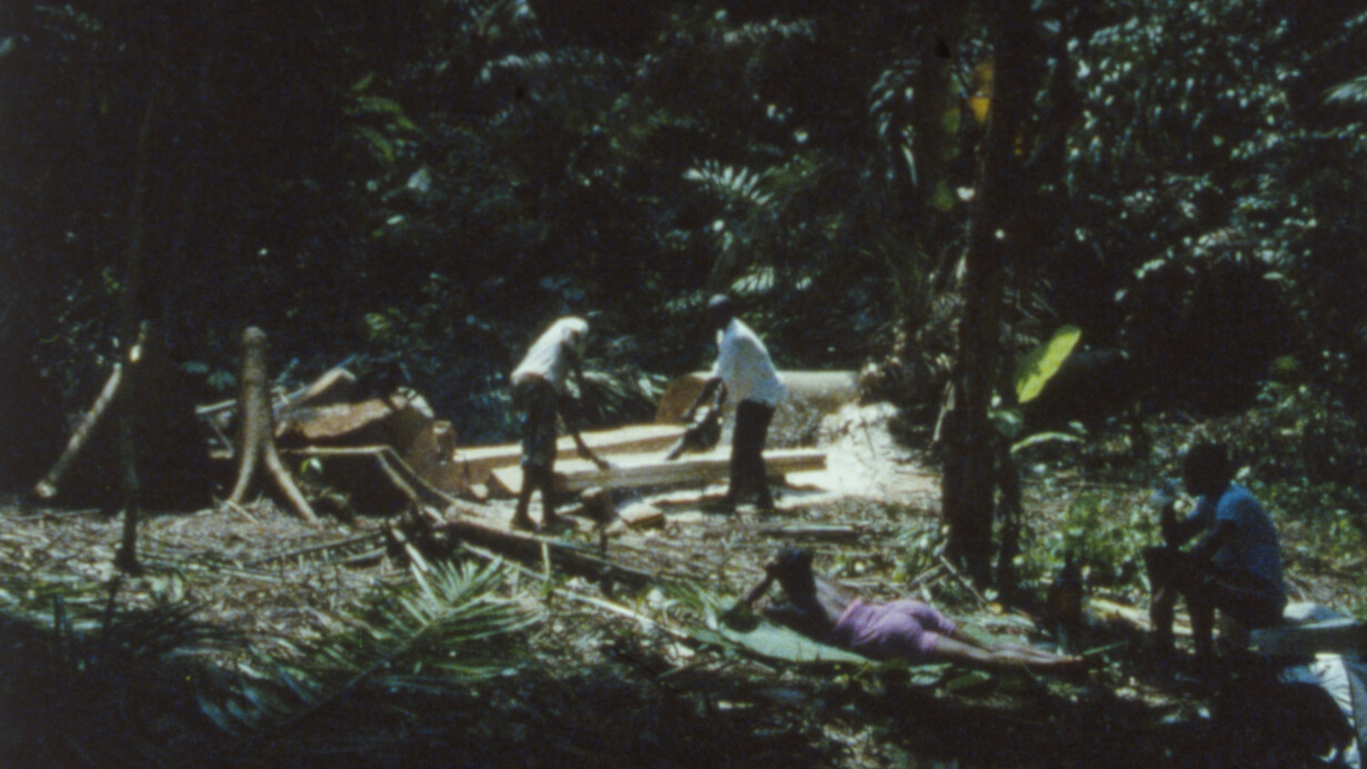 Falling trees, (new film) 2014, 16mm film, colour, no sound, about 8’55’’ Produced by Fondazione HangarBicocca, Milan © João Maria Gusmão + Pedro Paiva