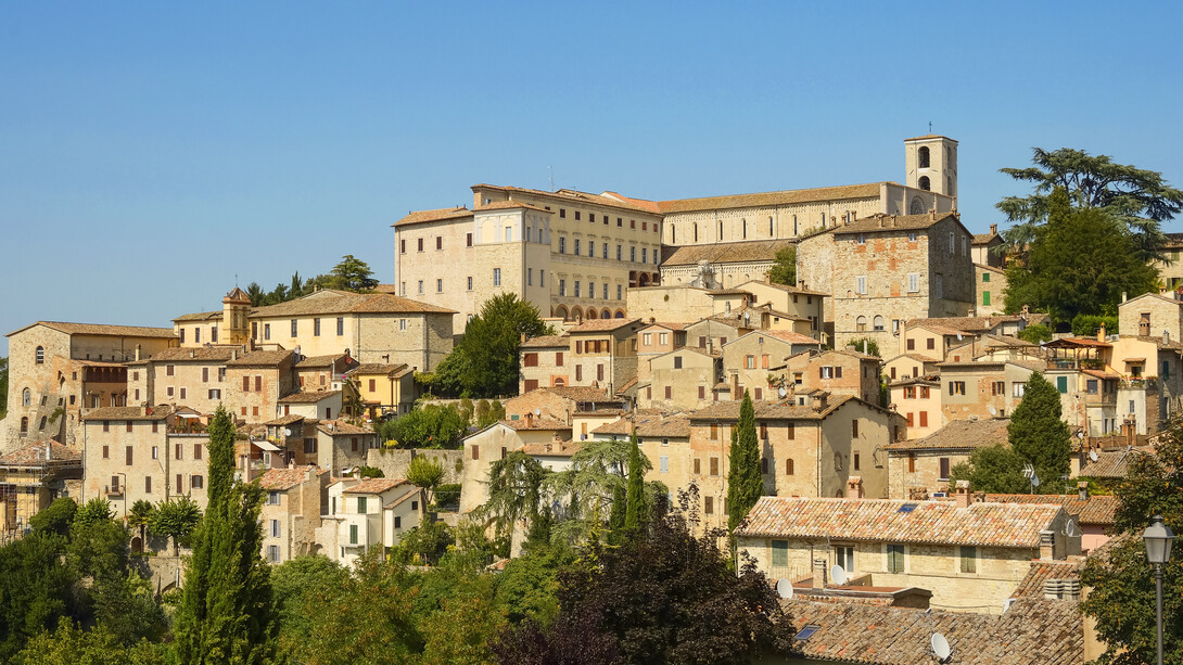 Todi