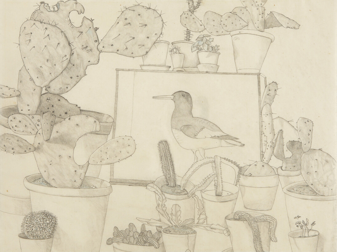 Lucian Freud, Cacti and Stuffed Bird, 1943, Pencil and colored crayon on paper, 16 3/4 x 21 1/2 inches, Art © The Lucian Freud Archive