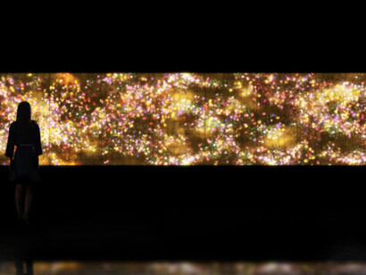 teamLab. Courtesy of Pace Gallery