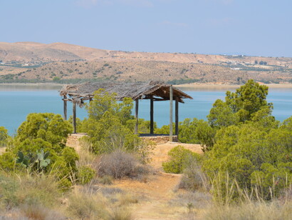 Soy superviviente, sí, pero cuánto dolor mientras tanto. Remanentes, Kairouan, República Tunecina 