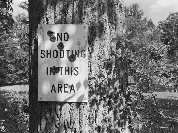 Lee Friedlander, New City, New York, 2014 / printed 2014, gelatin-silver print, 12-1/4 x 18-1/4 inches. © Lee Friedlander, courtesy Fraenkel Gallery, San Francisco