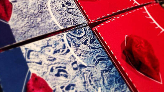 Scatoline osé, progetto di Valentina Sacripante per le MagnificheEditrici, stampa da linoleum, cianotipia e kallitipia