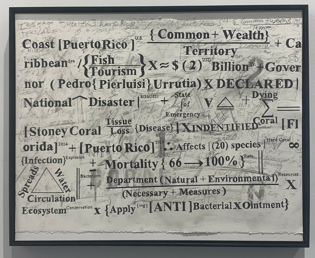 Gabriel Delgado, Stoney Coral emergency | Puerto Rico, (from the Environmental series), ink, chalk, graphite on Strathmore watercolor paper, mounted on canvas, 22x30 in