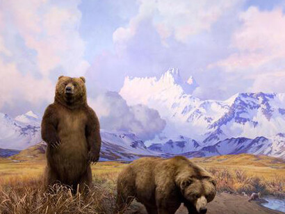 Mammals. Courtesy of American Museum of Natural History