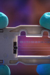 Ciencia para tratar de entender 