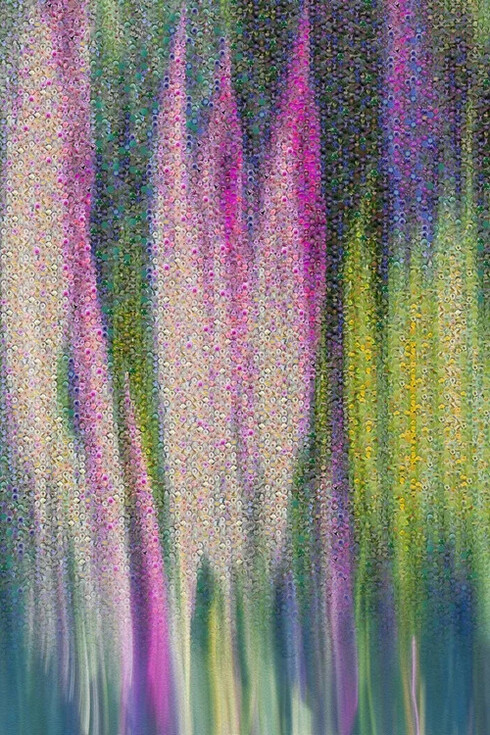 Charles Turnell, Prairie (4) (detail), 2025. Courtesy of Bruno David Gallery