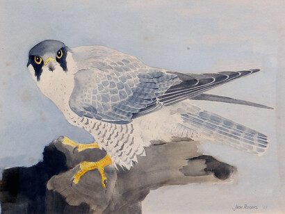 Jack Martin Rogers, Peregrine falcon, 1981, 10 1/2hx15w in. Courtesy of Anita Rogers Gallery