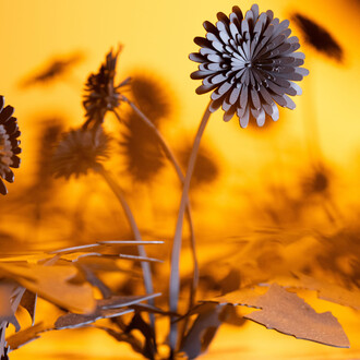 Esmaa Mohamoud, Let Them Consume Me In The Light, installation view, photo by Kyle Flubacker. Courtesy of Kavi Gupta Gallery