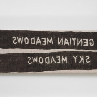 Hendl Helen Mirra, not gentian meadows, 2021. Courtesy of Galerie Nordenhake