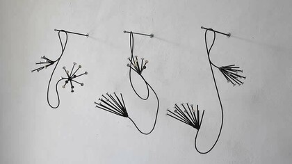 Andrea Marini, Tillandsie, 2019