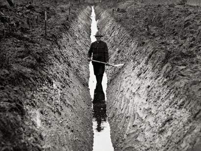 The Century of Forest Improvements. Courtesy of Lusto