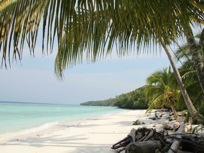 Tratto di spiaggia selvaggia che percorre l'intero perimetro lagunare dell'isola di Maratua