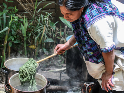 Patricia Guzmán Ruíz dyeing wool with zacatlaxcalli/dodder (Cuscuta tinctoria) and añil/indigo (Indigofera suffruticosa) in San Juan Cancuc, Chiapas. Mit freundlicher genehmigung des Weltmuseums Wien © Carlos Barrera Reyes