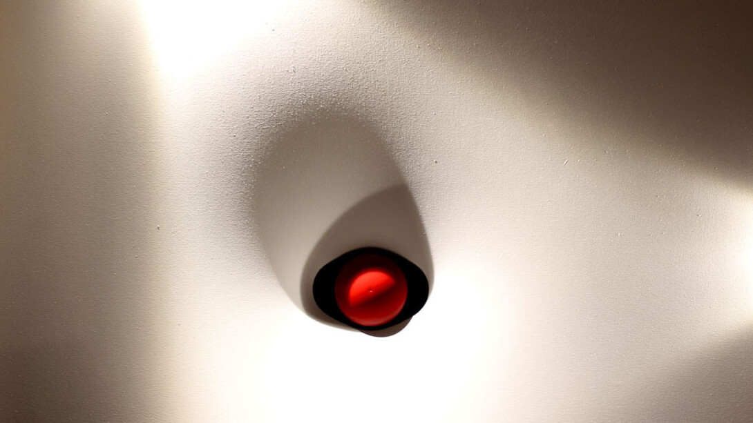 Pelle. Courtesy of Statuto 13 