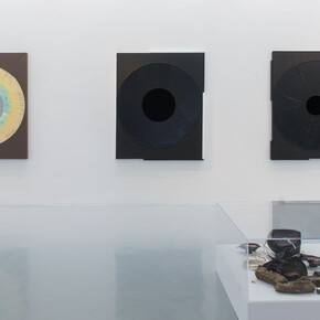 Warren Neidich, installation view. Courtesy of Priska Pasquer