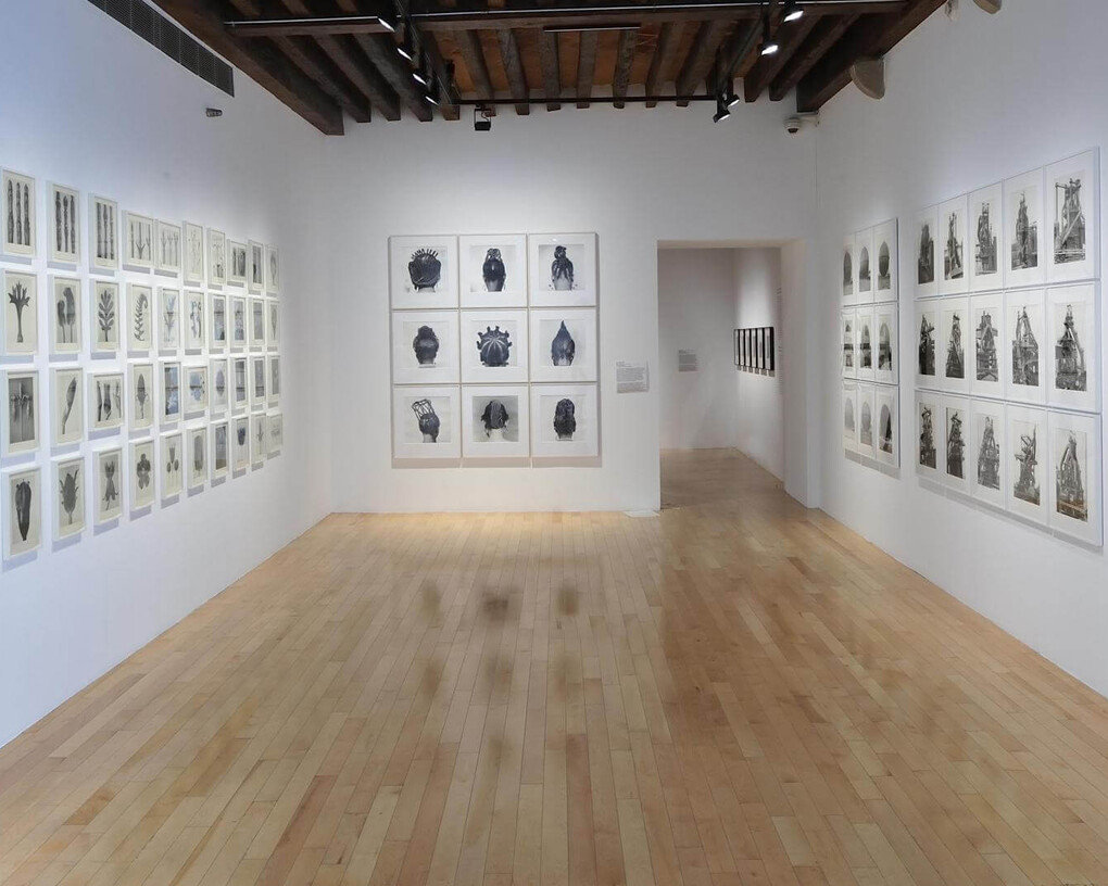 Structures of Identity. Courtesy of Museo Amparo
