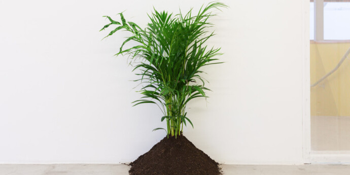 Zip'Up, Exhibition view. Courtesy of Zipper Galeria