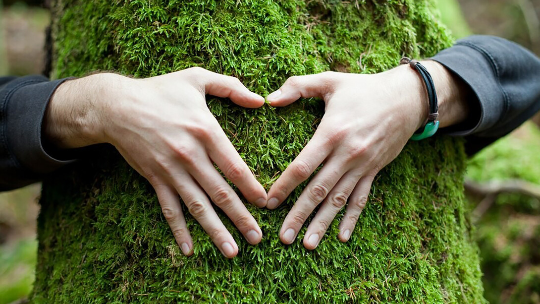 Hands pressed together in the shape of a heart against the rough bark of a tree, symbolizing a deep connection to nature and a silent pledge of care and protection for the environment