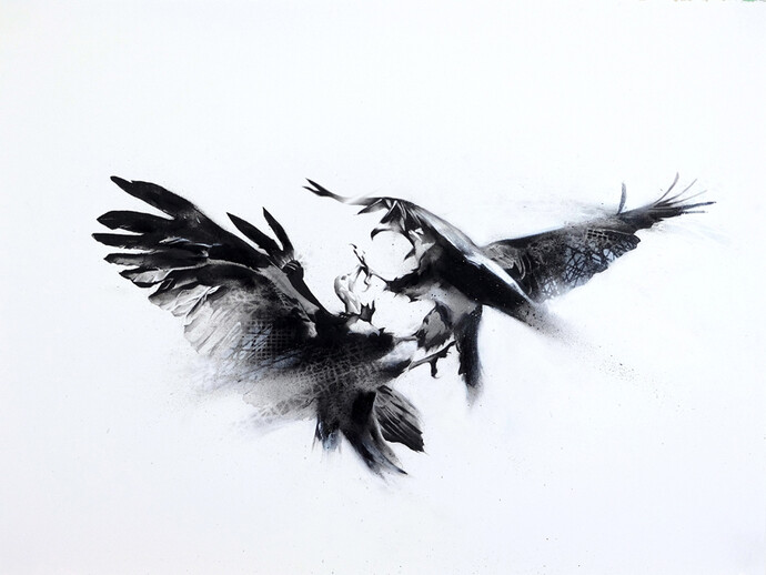 Li-Hill, Fight, (Hooded Vulture – Necrosyrtes monachus), Graphite and aerosol on paper, 30in x 22in (76 x 56cm)
