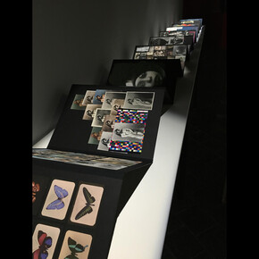 Simulacra. Courtesy of Montreal Museum of Fine Arts