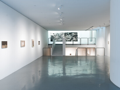 Fields of Emotional Habits, Albrecht Schäfer-Radenko Milak, Foto Nathan Ishar, courtesy PRISKA PASQUER, Cologne