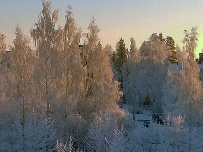 Invierno en Uusimaa. Luna de corazón de roble, enero 2014, Finland
