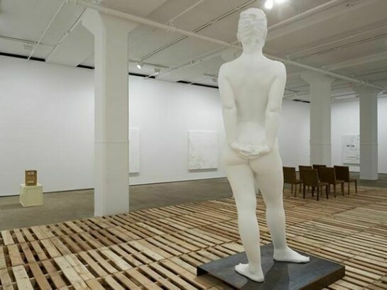 Julião Sarmento, Installation view of Terra Incognita at Sean Kelly, New York, March 28 - May 3, 2014. Photography: Jason Wyche © Julião Sarmento. Courtesy: Sean Kelly, New York. PrevPrev 14 of 14 NextNext