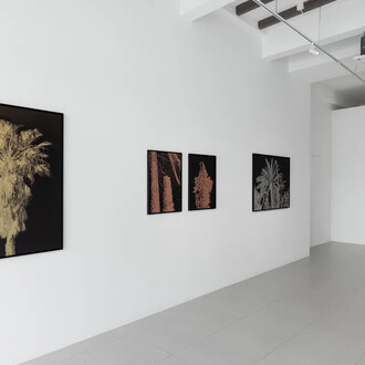 Mehdi-Georges Lahlou, The conference of the palm trees, exhibition view. Courtesy of Cuturi Gallery