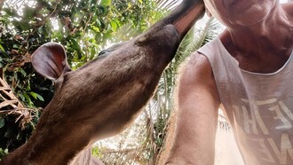 Zé Pedro conversando con Daniel y esperando el crepúsculo para comer. Fotografía, una autofoto de Daniel