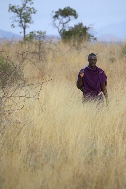 A Massai, walking alone