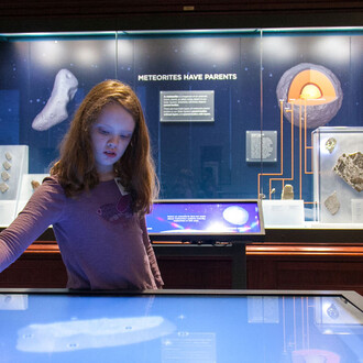 Meteorites. Courtesy of Field Museum