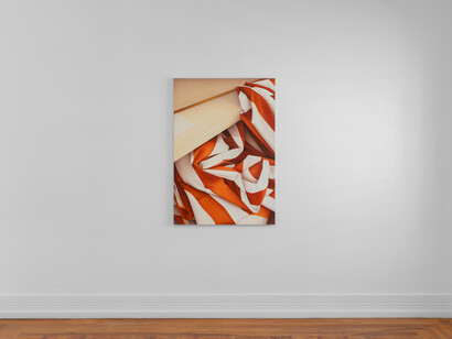 Alexandra Barth, In the country of last things, exhibition view. Courtesy of Document Gallery