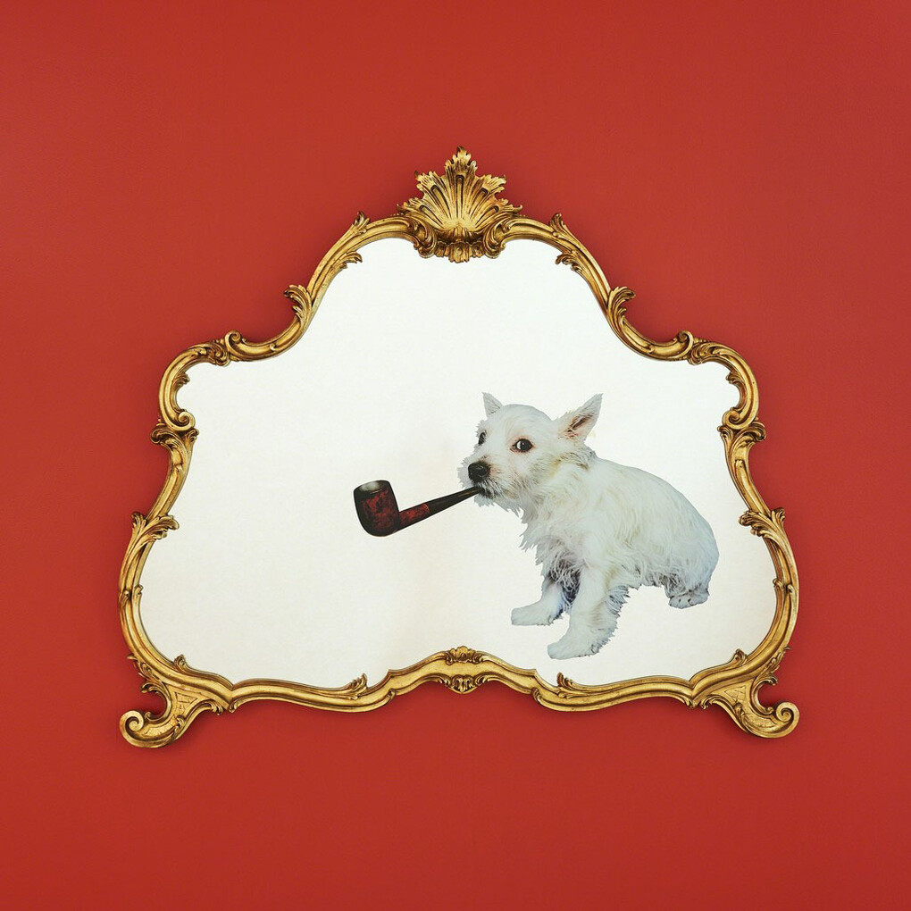 Toiletpaper. Courtesy of Galerie Perrotin