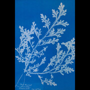 Material Resources. Courtesy of Bowdoin Museum