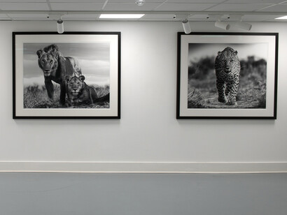 Lars Beusker and Giusy Rampini, Convergence, exhibition view. Courtesy of Miart Gallery